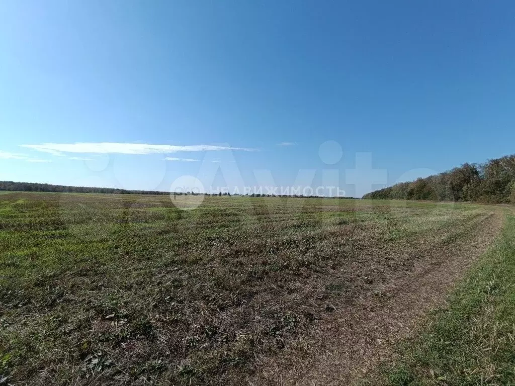 Участок 15 га (ИЖС) - Фото 0