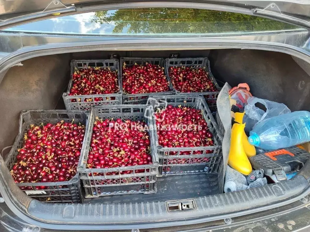 Участок в Крым, Бахчисарайский район, Ароматненское с/пос, с. ... - Фото 2