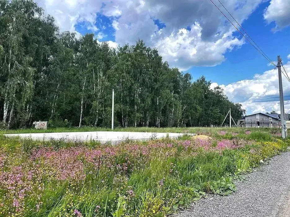 Участок в Московская область, Истра муниципальный округ, д. Синево  ... - Фото 1