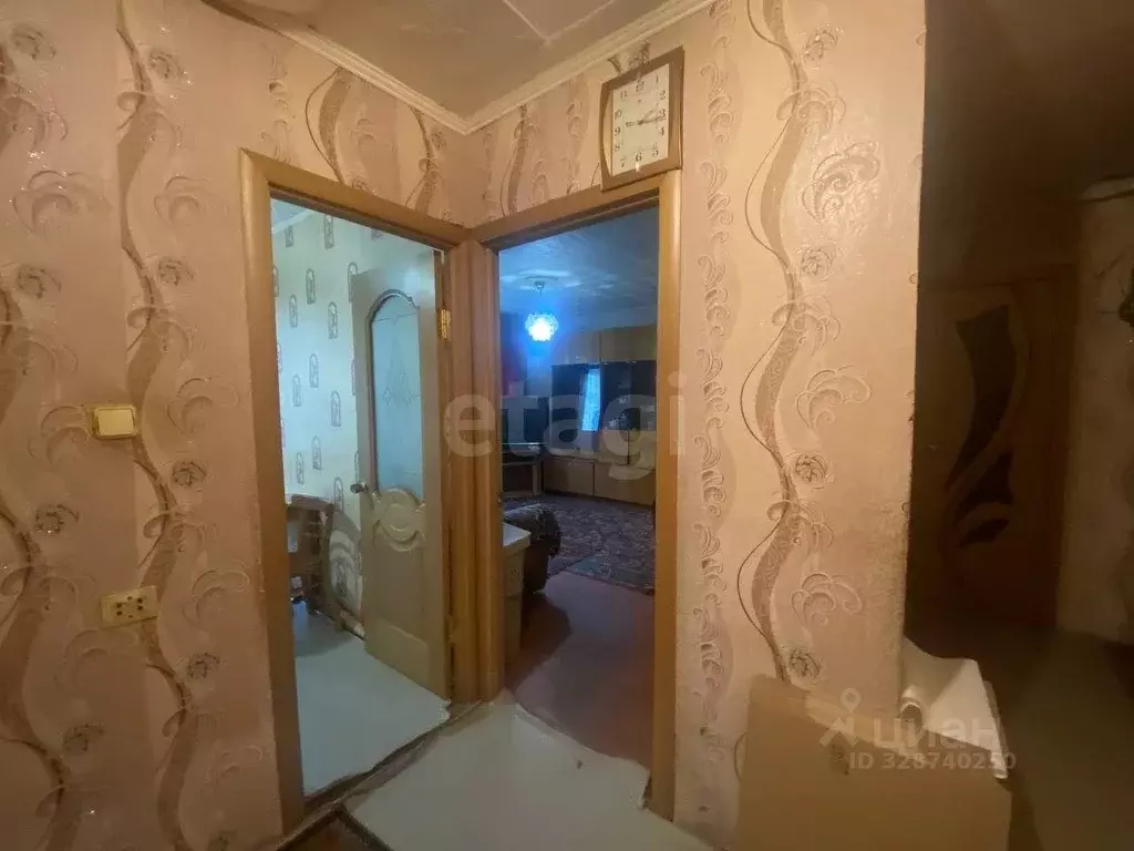 Студия Амурская область, Белогорск Томский пер., 14 (31.0 м) - Фото 2