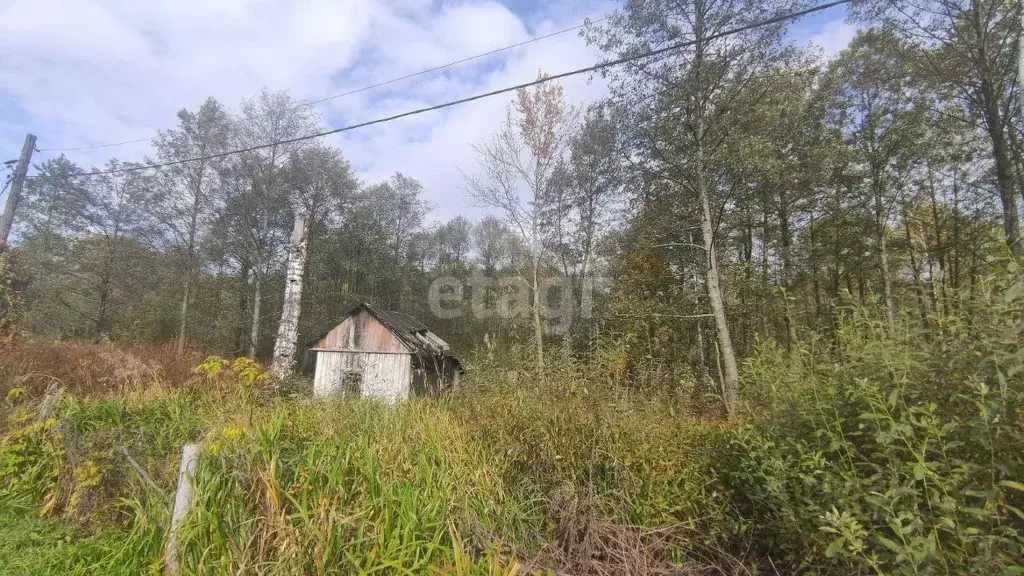 Дом в Брянская область, Брянск Железнодородник СНТ, 2 (10 м) - Фото 0