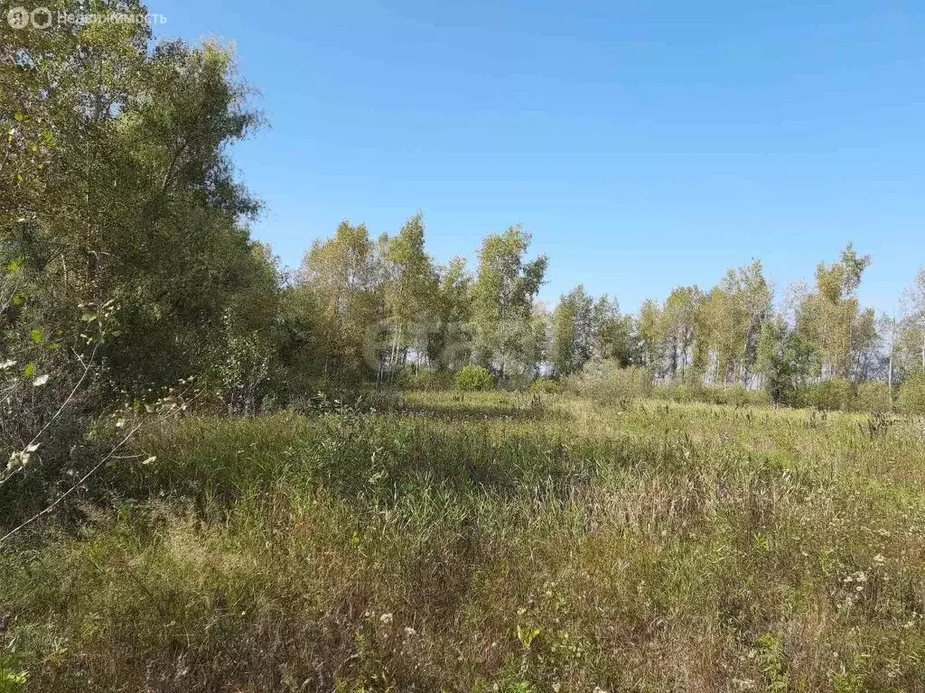 Участок в Тюменский район, село Борки (65 м) - Фото 1