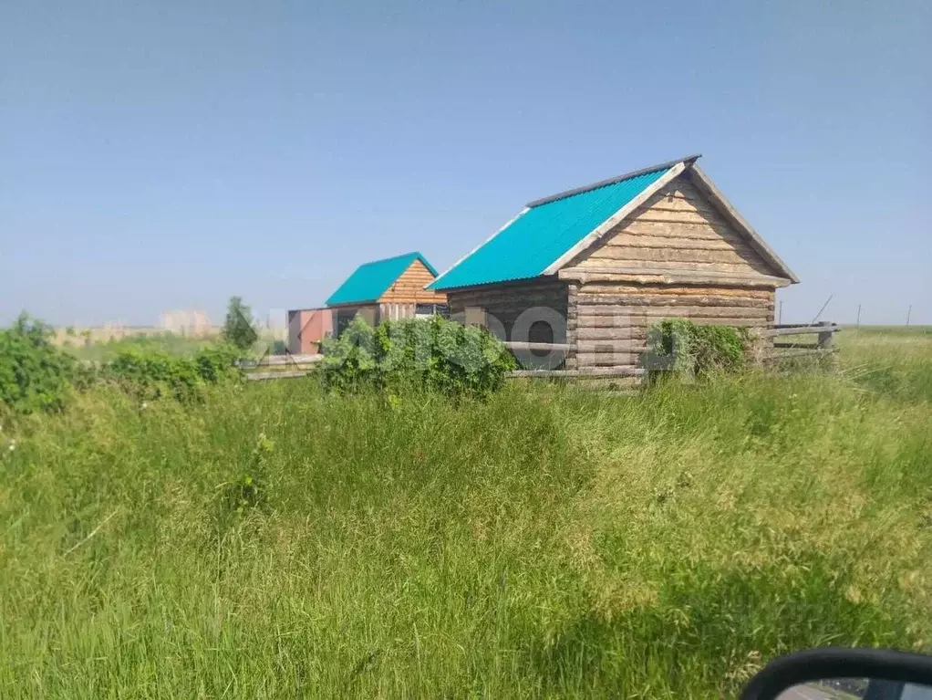 Участок в Алтайский край, Романовский район, с. Гуселетово Октябрьская ... - Фото 0