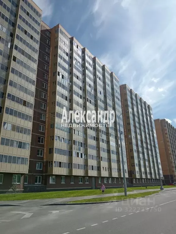 Студия Ленинградская область, Всеволожский район, пос. Бугры ул. ... - Фото 0