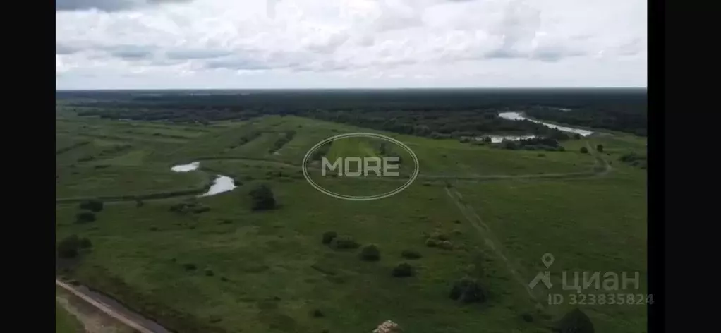 Участок в Калининградская область, Славский муниципальный округ, пос. ... - Фото 2
