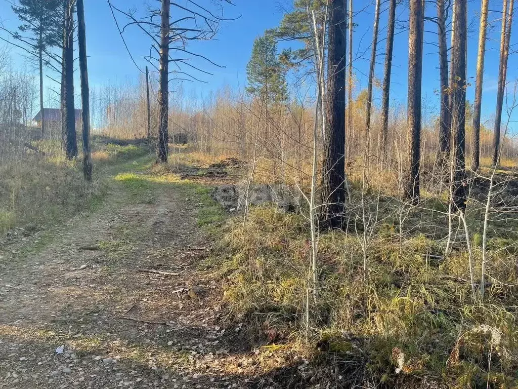 Участок в Иркутская область, Иркутский муниципальный округ, д. ... - Фото 1