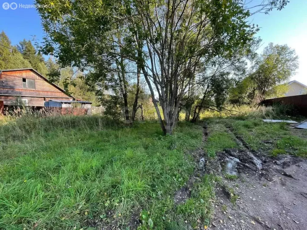 Участок в Московская область, городской округ Солнечногорск, садовое ... - Фото 1