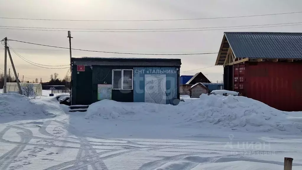 Участок в Новосибирская область, Коченевский район, Тальник СНТ ул. ... - Фото 1