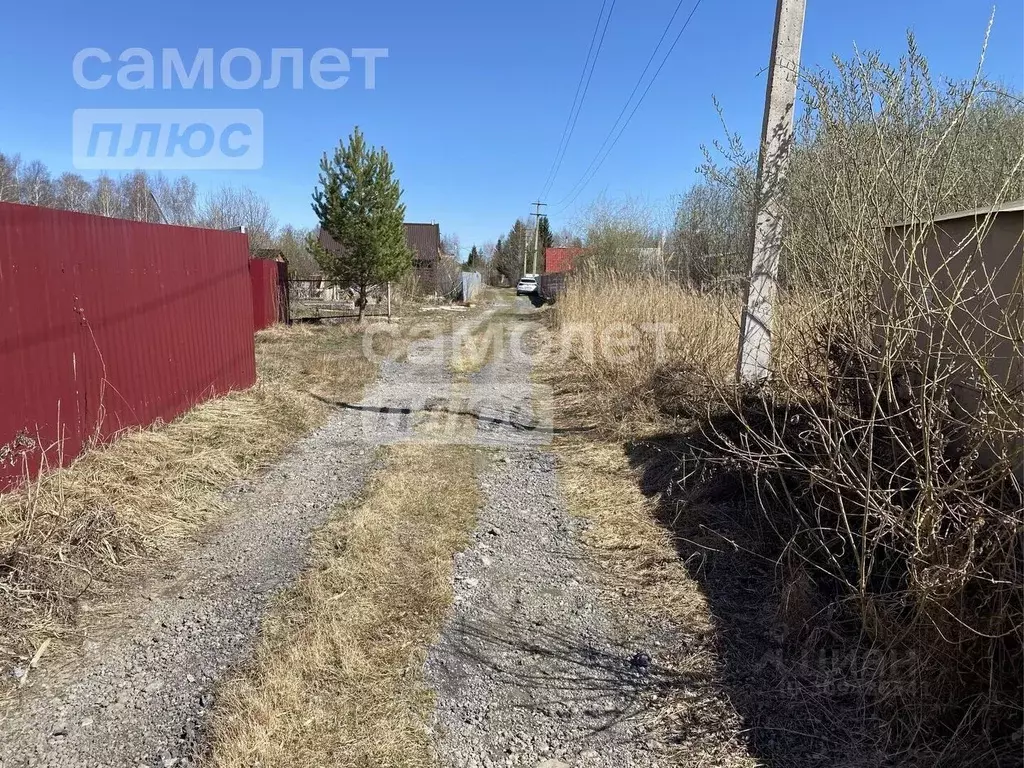 Участок в Тюменская область, Нижнетавдинский район, Лесная сказка СНТ ... - Фото 1