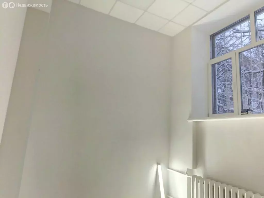 Помещение свободного назначения (18.9 м) - Фото 1