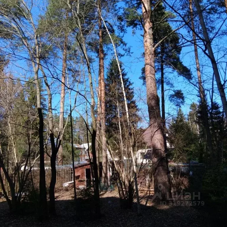 Участок в Московская область, Одинцовский городской округ, д. ... - Фото 1