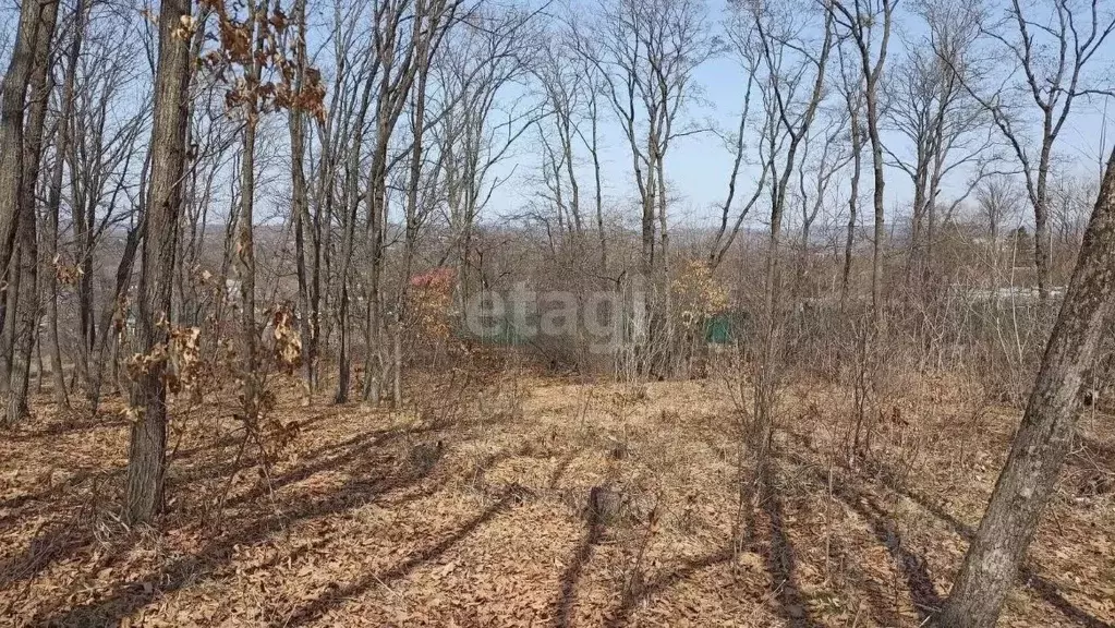 Участок в Приморский край, Надеждинский район, с. Вольно-Надеждинское  ... - Фото 0