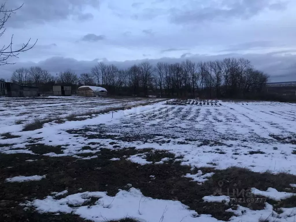 Участок в Белгородская область, Белгородский район, Беловское с/пос, ... - Фото 0