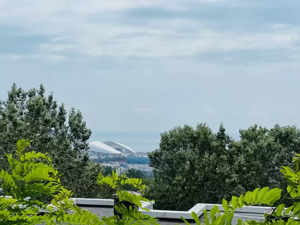 Участок в Краснодарский край, Сочи ул. Ворошиловградская (5.5 сот.) - Фото 0