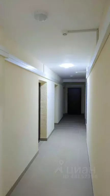 Студия Санкт-Петербург ул. Прокофьева, 7к2 (31.9 м) - Фото 1