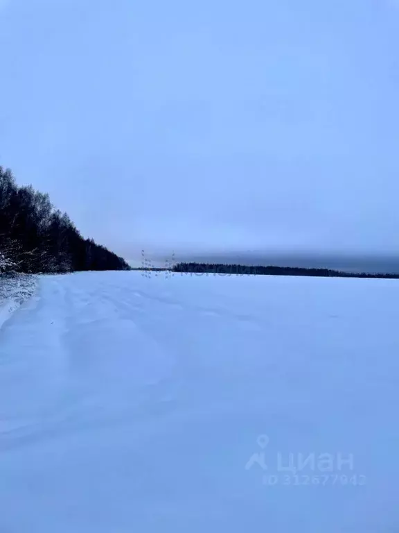 Участок в Нижегородская область, Бор городской округ, д. Шубино  ... - Фото 0