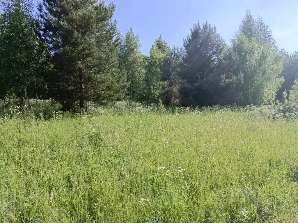 Участок в Московская область, Кашира городской округ, д. Малеево  ... - Фото 1