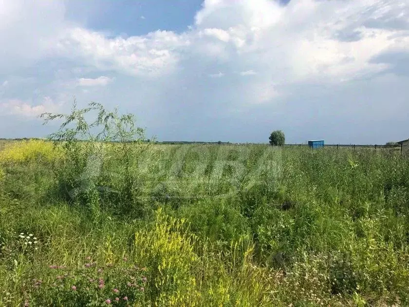 Купить Участок В Деревне Тюменской Области