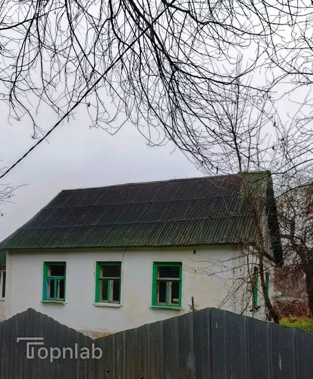 Дом в Первомайский, рабочий посёлок Первомайский, Трудовая улица, 64 ... - Фото 1