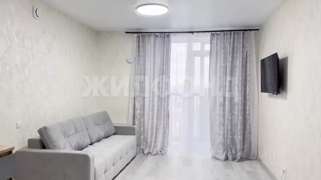 Студия Новосибирская область, Новосибирск Красный просп., 167/3 (30.0 ... - Фото 1