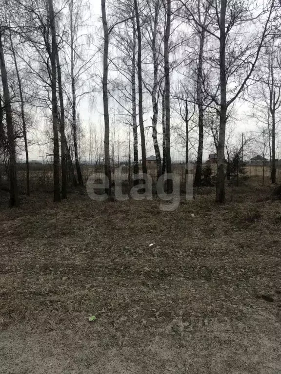 Участок в Брянская область, Брянский район, Отрадненское с/пос, с. ... - Фото 1