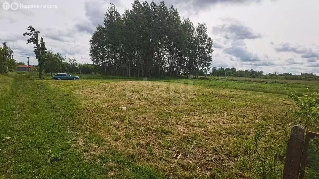 Участок в Калининградская область, Гурьевский муниципальный округ, ... - Фото 1