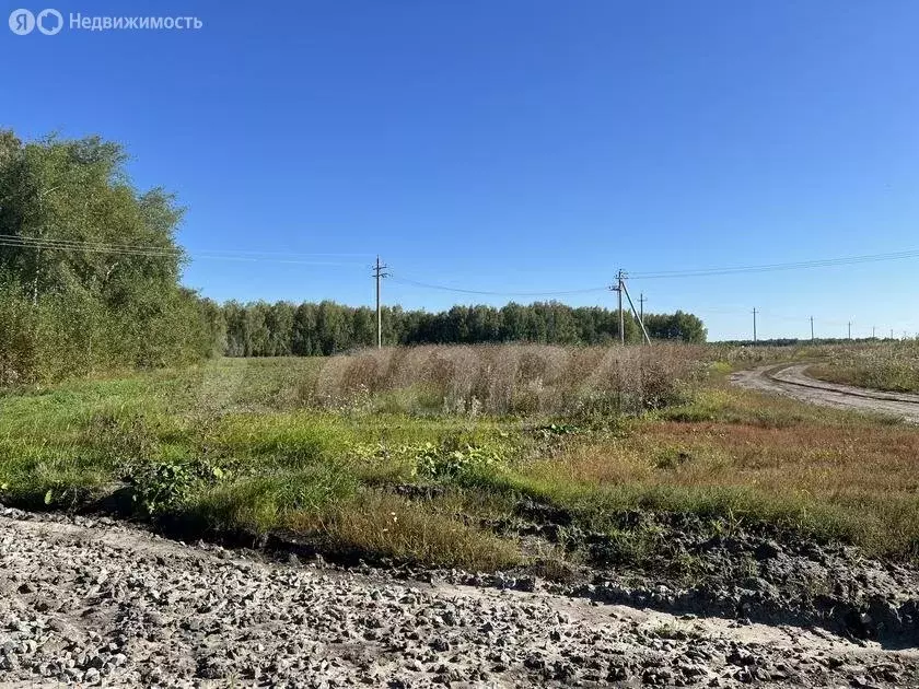 Участок в Тюменский район, село Каменка (16 м) - Фото 0