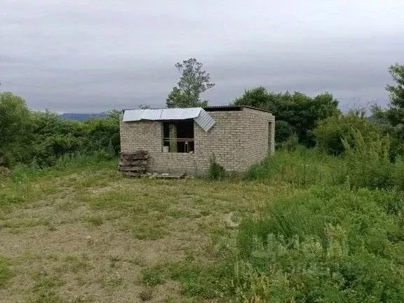 Дом в Приморский край, Партизанский муниципальный округ, с. Золотая ... - Фото 1