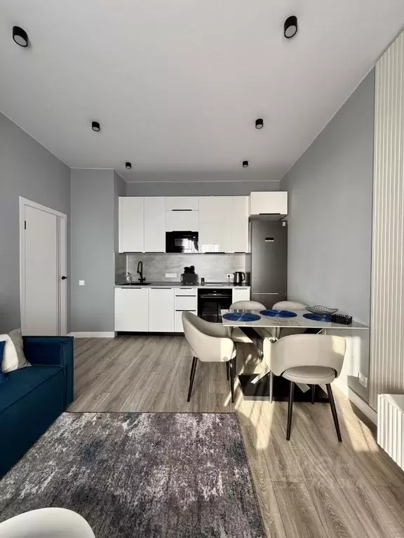 1-к кв. Санкт-Петербург наб. Миклухо-Маклая, 3к1 (44.2 м) - Фото 2