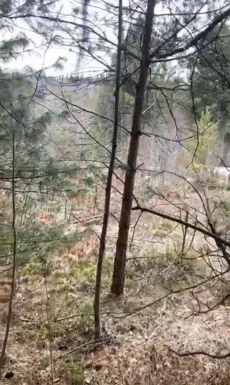 Участок в Иркутская область, Шелеховский район, Подкаменское ... - Фото 2