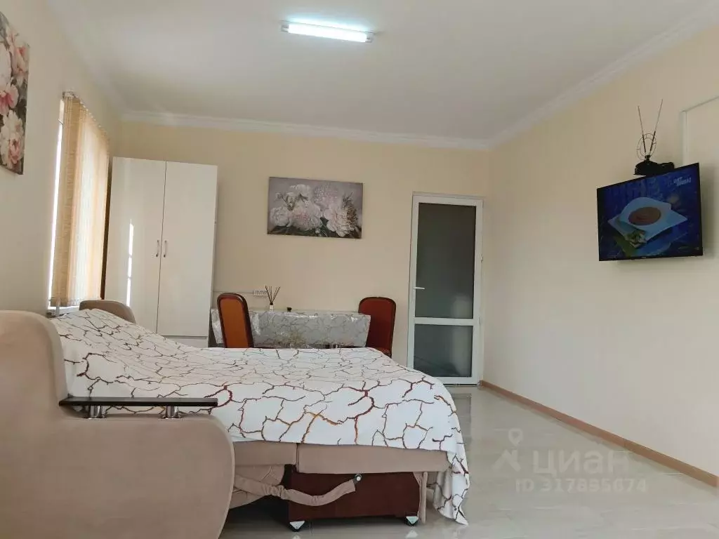 1-к кв. Краснодарский край, Сочи ул. Макаренко, 26/1 (40.0 м) - Фото 1