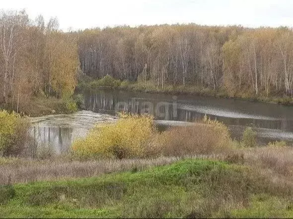 Участок в посёлок Бор, Набережная улица (14 м) - Фото 1