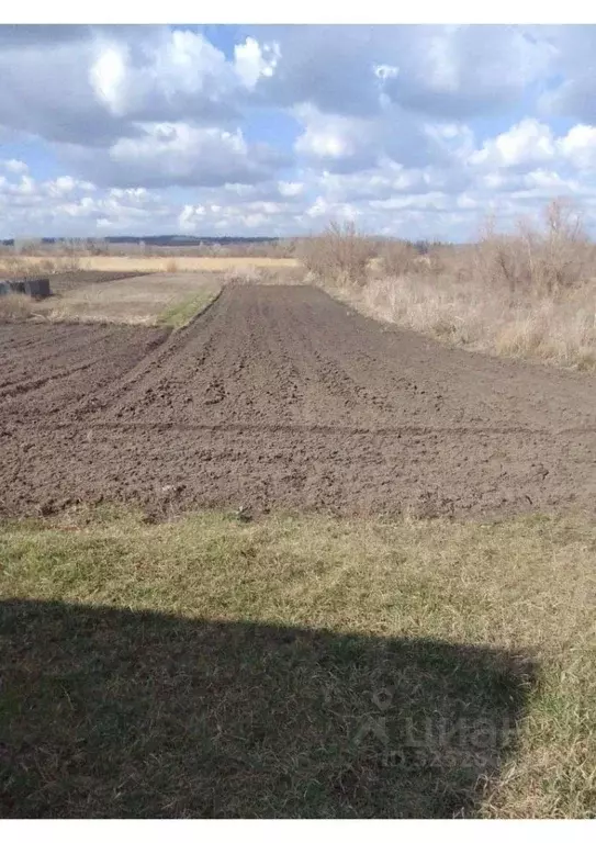 Участок в Воронежская область, Ольховатский район, Марьевское с/пос, ... - Фото 1