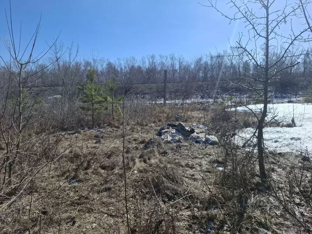 Дом в Алтайский край, Барнаул городской округ, пос. Ягодное ул. ... - Фото 2