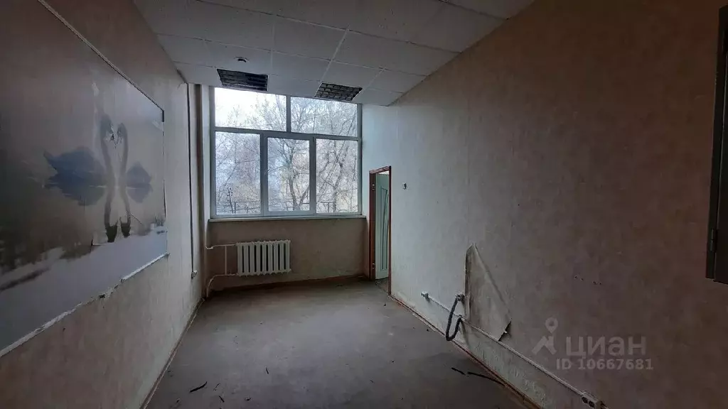 Офис в Тульская область, Тула ул. Колетвинова, 6 (26 м) - Фото 1