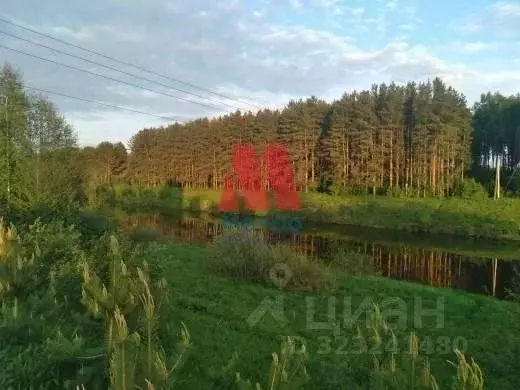 Участок в Ярославская область, Гаврилов-Ямский муниципальный округ, ... - Фото 2