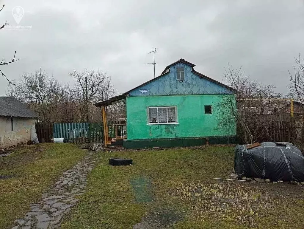 Дом в Рязанская область, Скопинский муниципальный округ, д. Свинушки ... - Фото 1