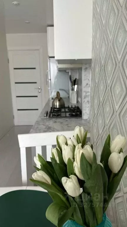 2-к кв. Коми, Сыктывкар ул. Куратова, 83А (37.5 м) - Фото 1