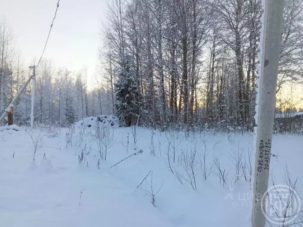 Участок в Ленинградская область, Выборгский район, Красносельское ... - Фото 2