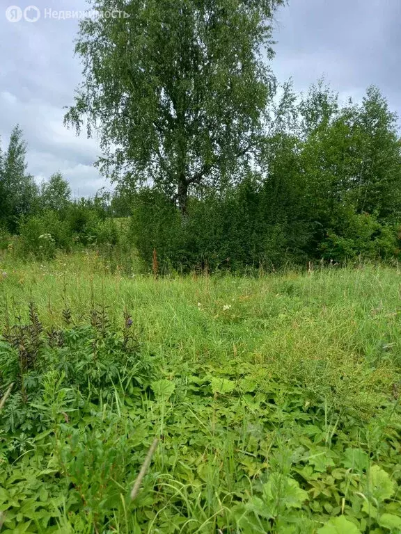 Участок в посёлок Афанасьевский, Трактовая улица, 11 (30 м) - Фото 1