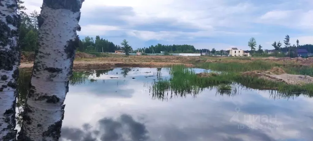 участок в московская область, электроугли богородский городской округ, . - Фото 1