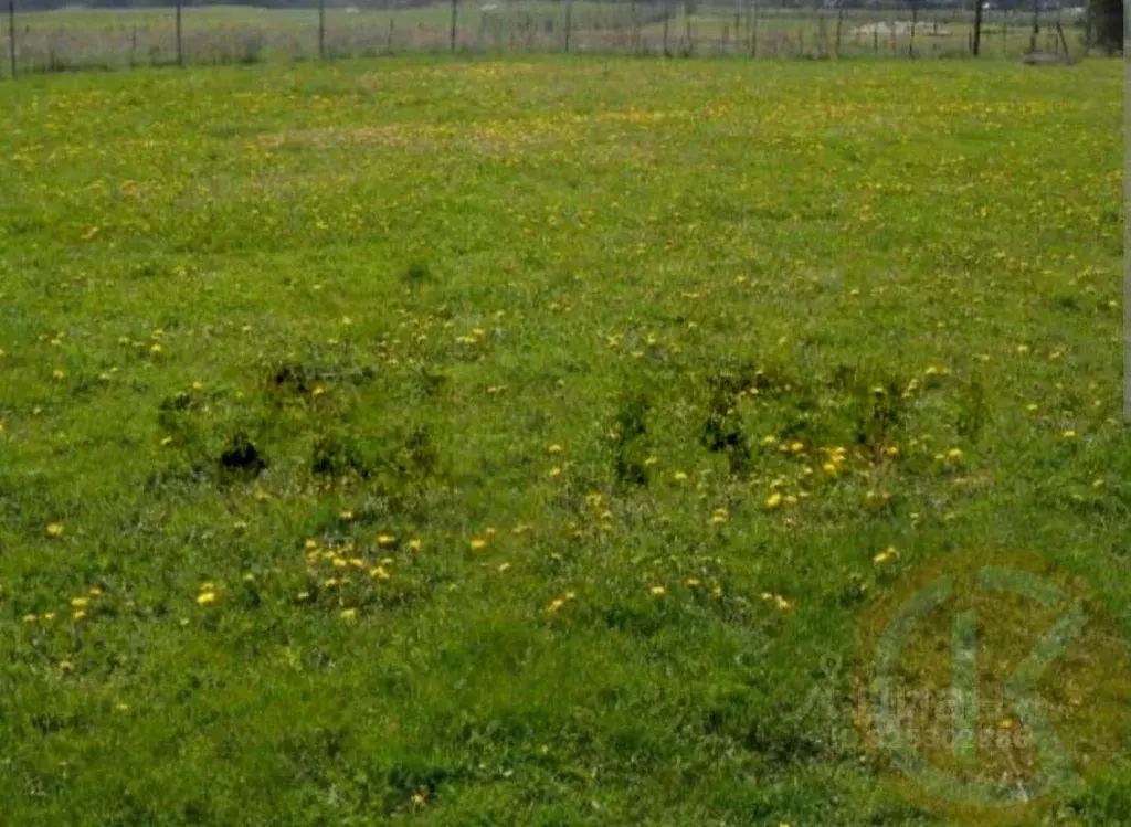 Участок в Крым, Сакский район, Крайненское с/пос, с. Вершинное ул. ... - Фото 2