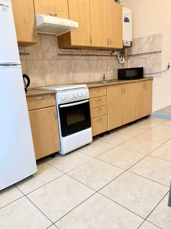 1-к кв. Калининградская область, Калининград Кутаисский пер., 5 (40.0 ... - Фото 2