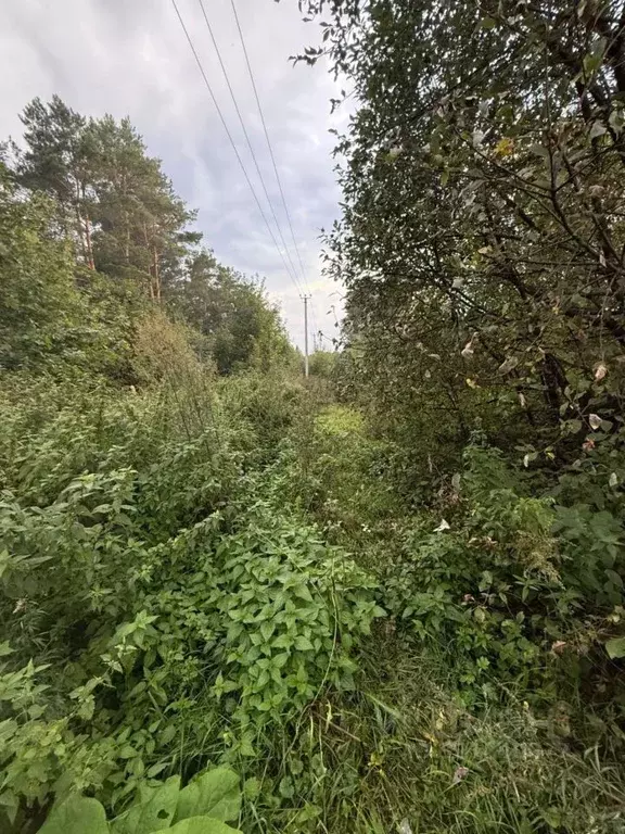 Участок в Татарстан, Лаишевский район, Никольское с/пос, д. Новая ... - Фото 2