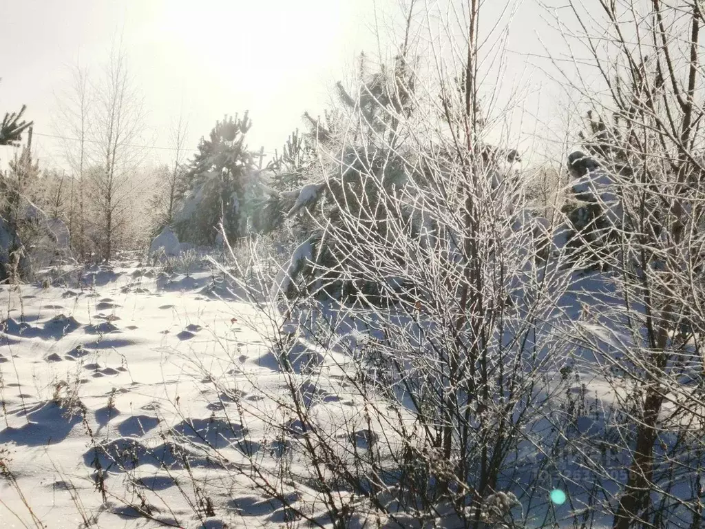 Участок в Московская область, Ступино городской округ, Починки-2 кп  ... - Фото 1