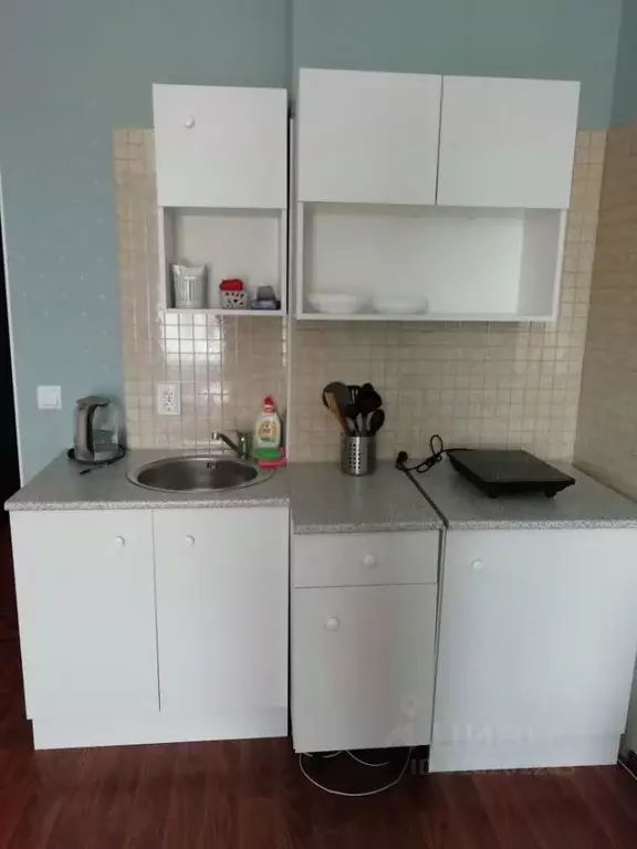 1-к кв. Новосибирская область, Новосибирск ул. Кирова, 236 (30.0 м) - Фото 0