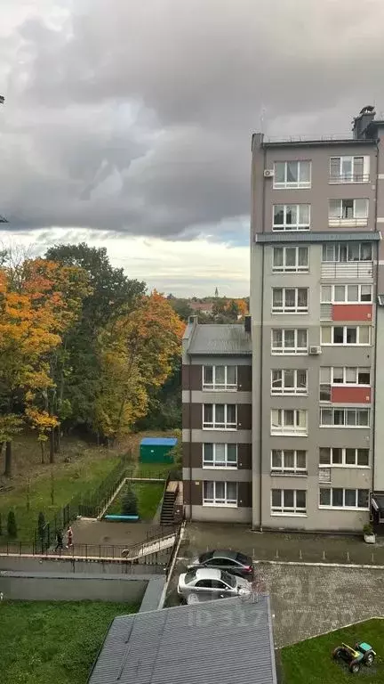 1-к кв. Калининградская область, Калининград Бассейная ул., 38 (43.0 ... - Фото 0