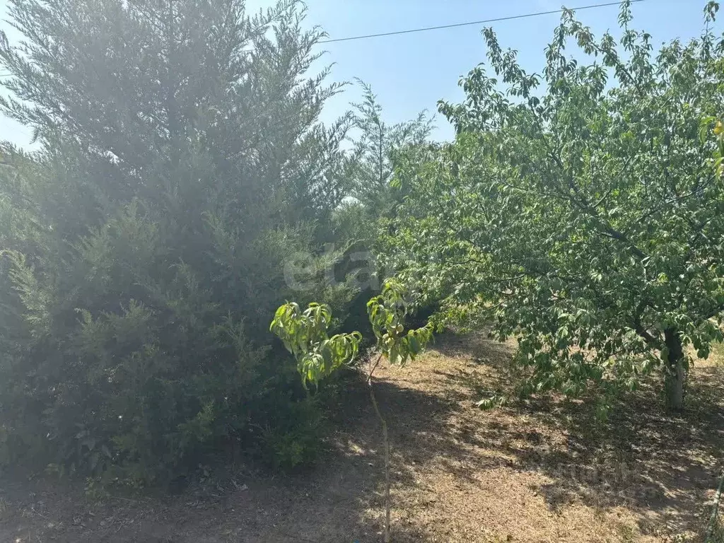 Участок в Ростовская область, Азовский район, Новоалександровское ... - Фото 2