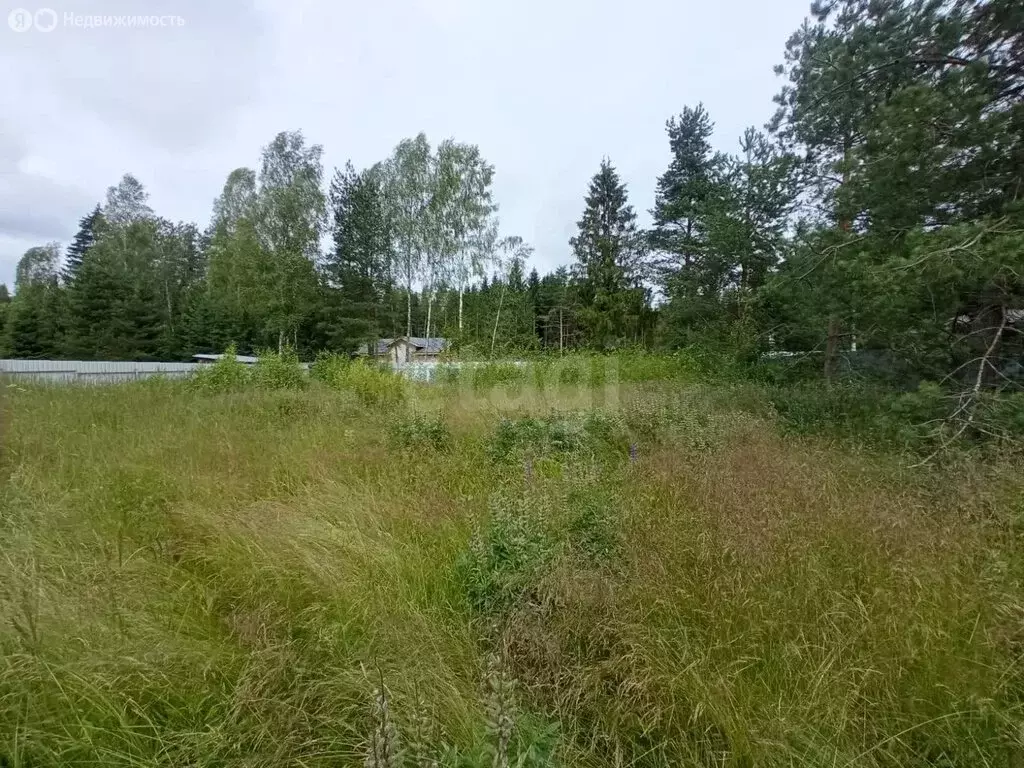 Участок в Московская область, Талдомский городской округ, посёлок ... - Фото 1