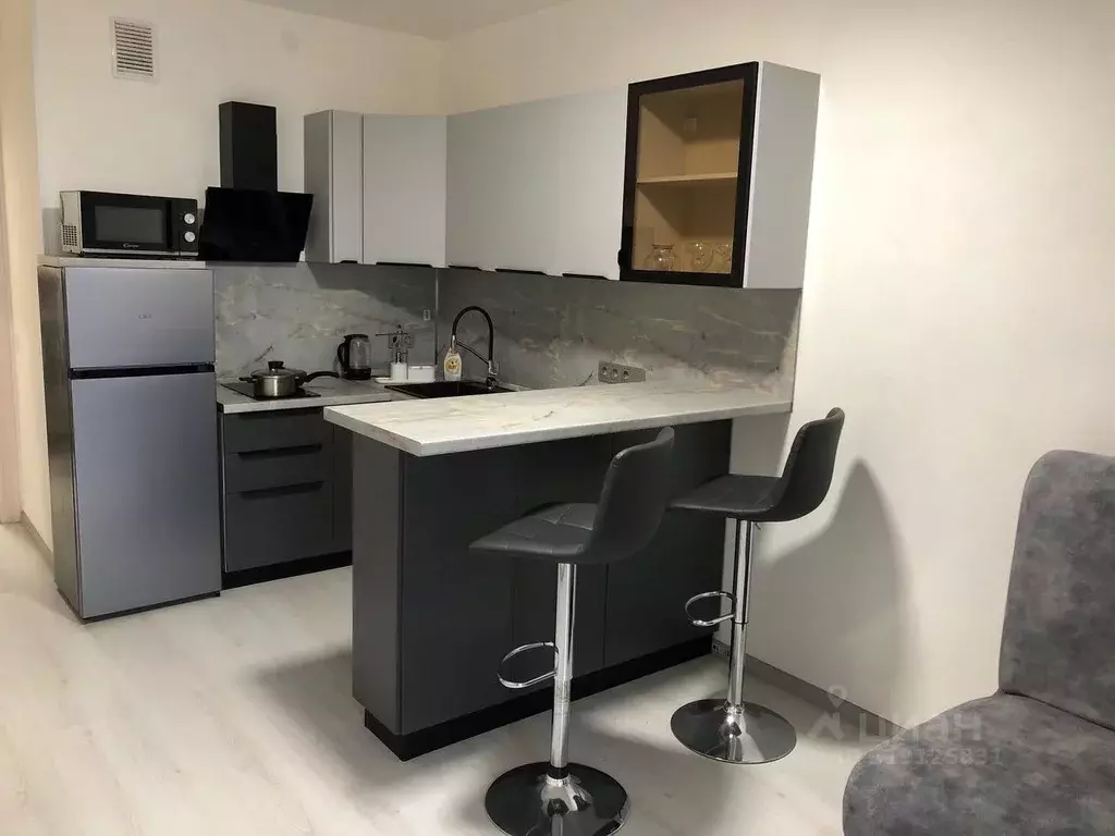 Студия Санкт-Петербург просп. Буденного, 19к1 (24.0 м) - Фото 0